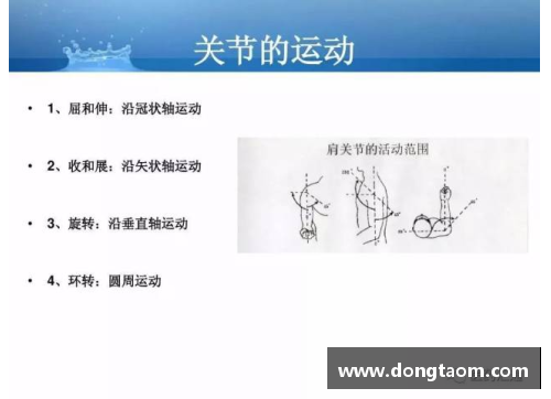 尼克杨全名？(big3联赛敌群队是什么？)
